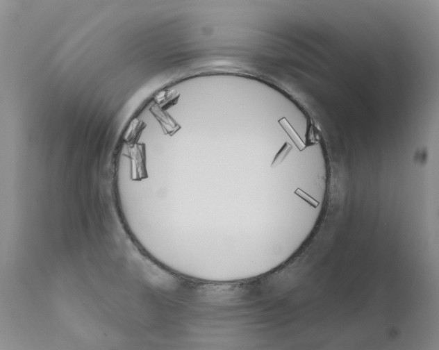 X0000110901474200907161539