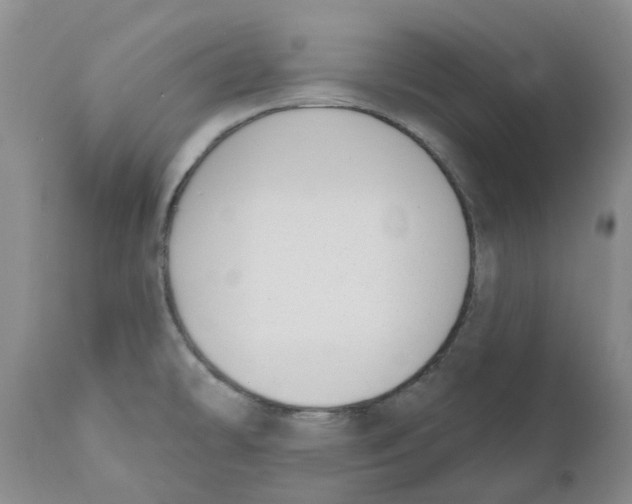 X0000110901478200907161539