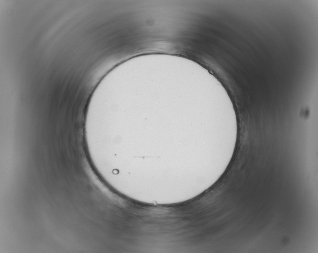 X0000110901479200907161539