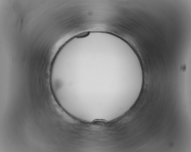 X0000110901480200907161539