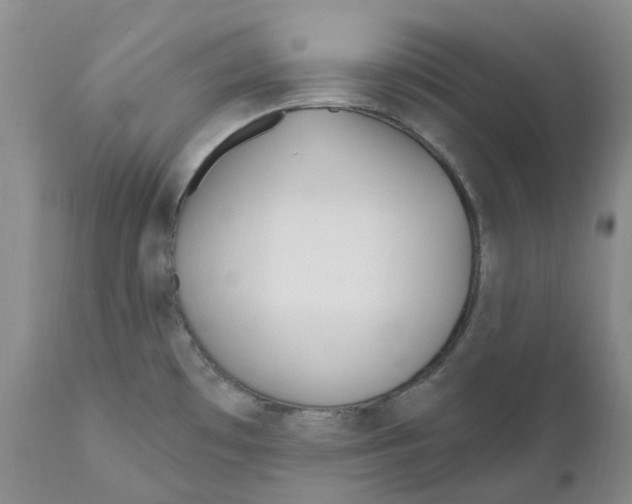 X0000110901481200907161539