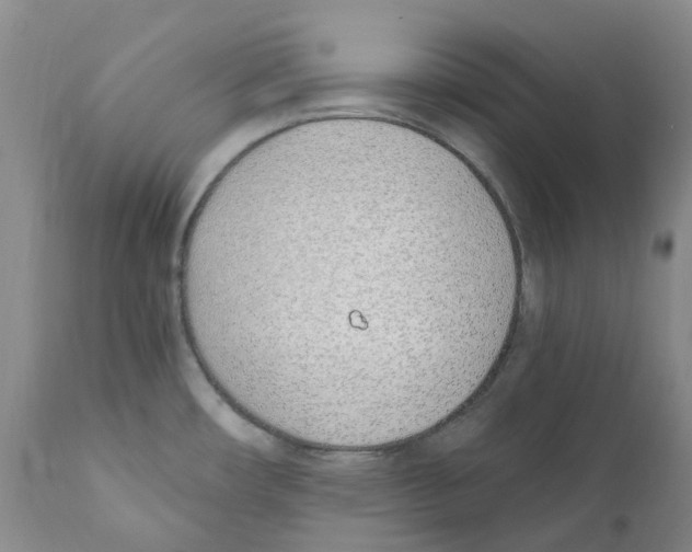 X0000110901482200907161539