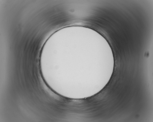 X0000110901483200907161539