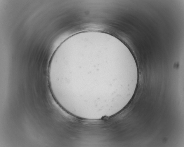 X0000110901487200907161539