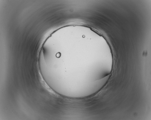 X0000110901488200907161539