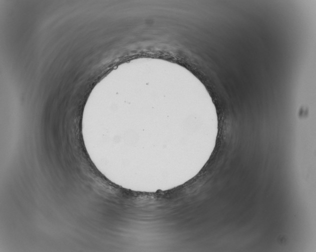 X0000110901489200907161538