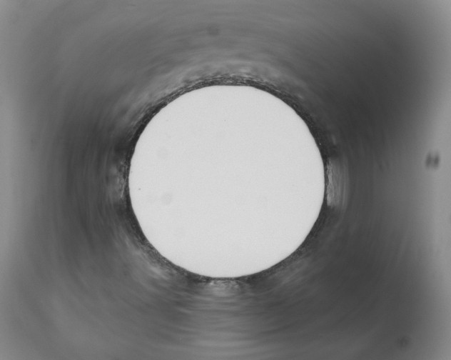 X0000110901491200907161538