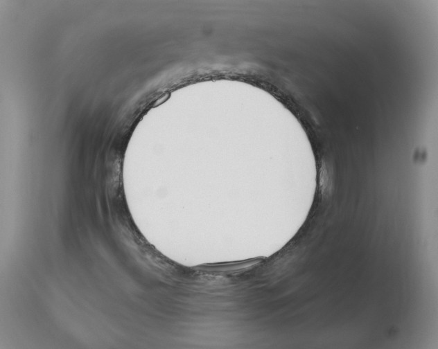 X0000110901492200907161538