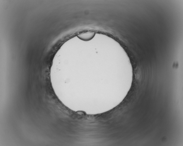 X0000110901495200907161538