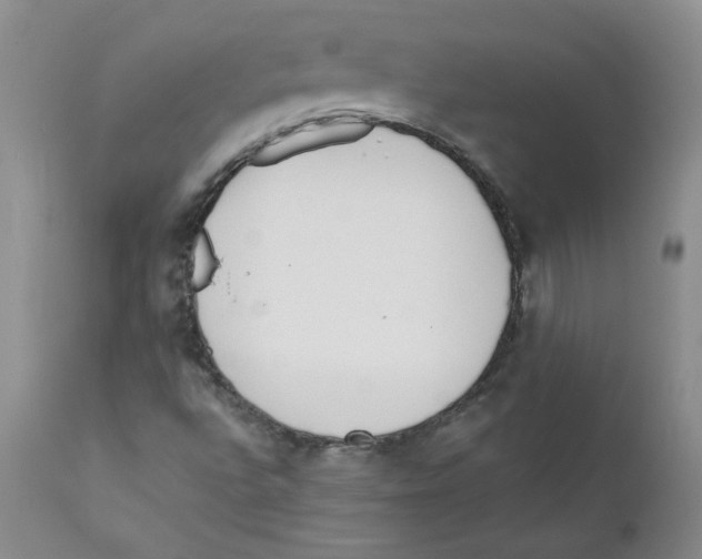 X0000110901496200907161538