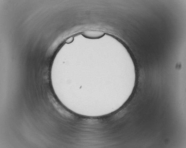 X0000110901499200907161538