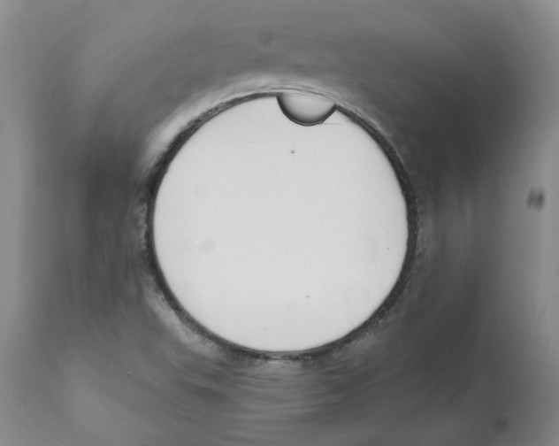 X0000110901503200907161538