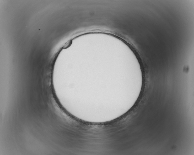 X0000110901504200907161538