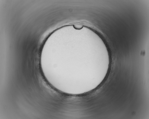 X0000110901506200907161538