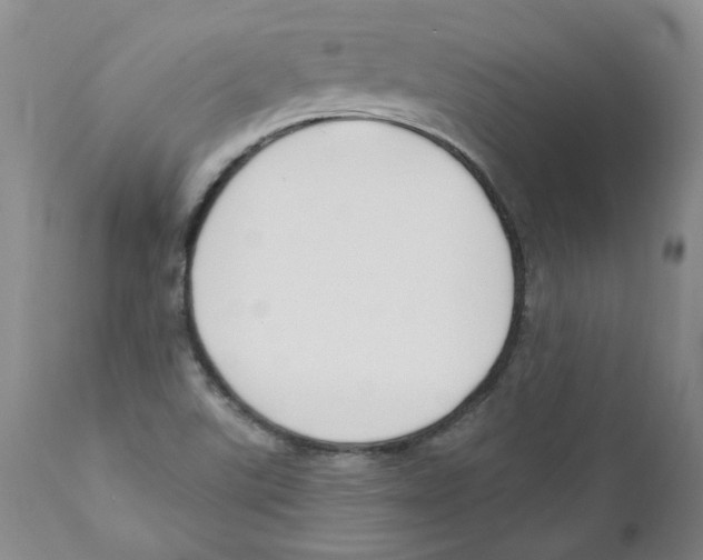 X0000110901507200907161538