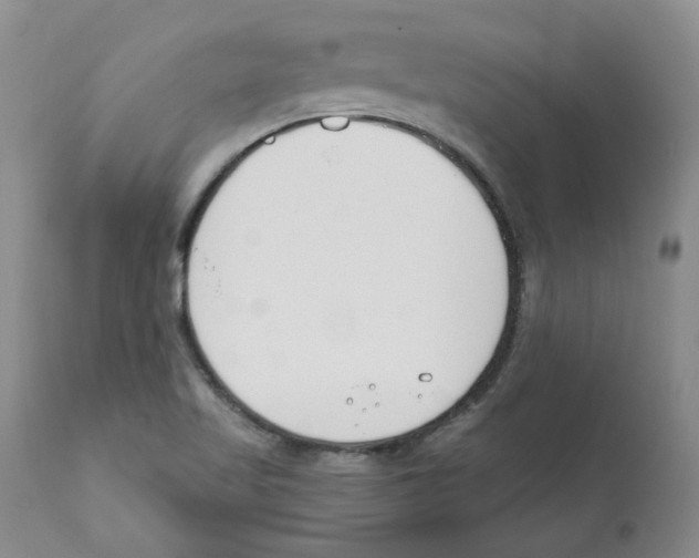 X0000110901509200907161538