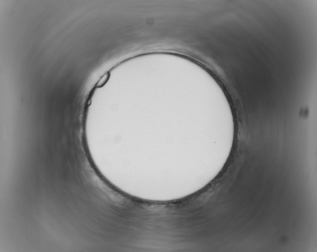 X0000110901512200907161538