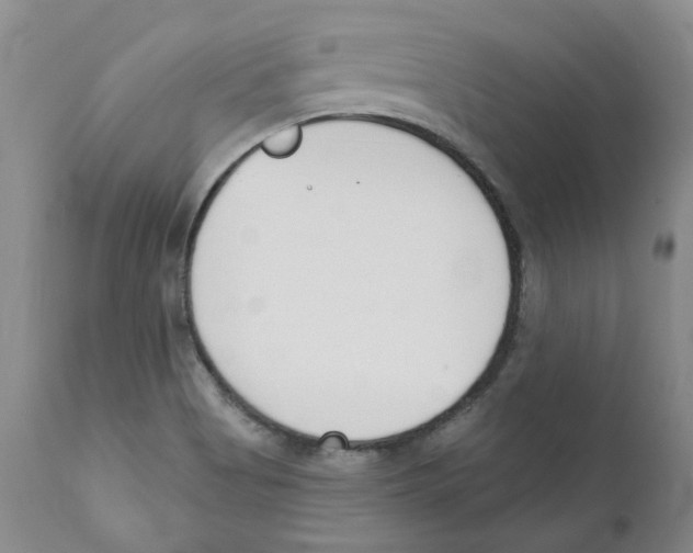 X0000110901513200907161538