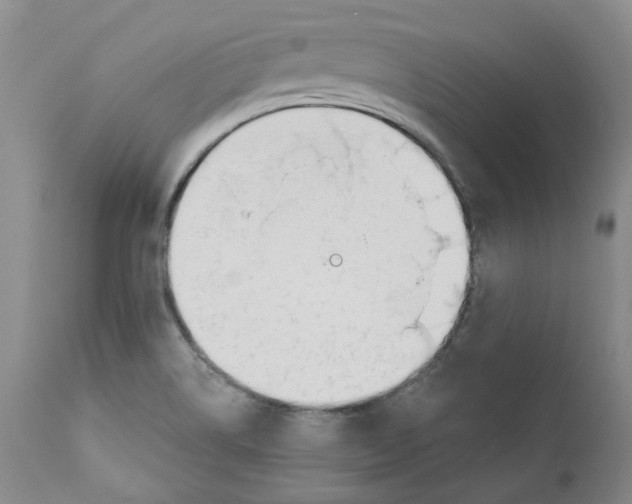 X0000110901514200907161538