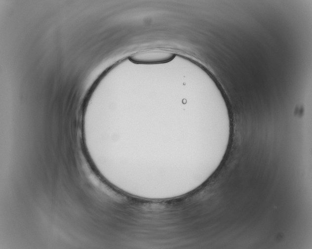 X0000110901515200907161538