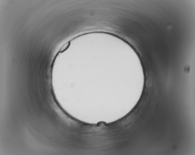 X0000110901516200907161538