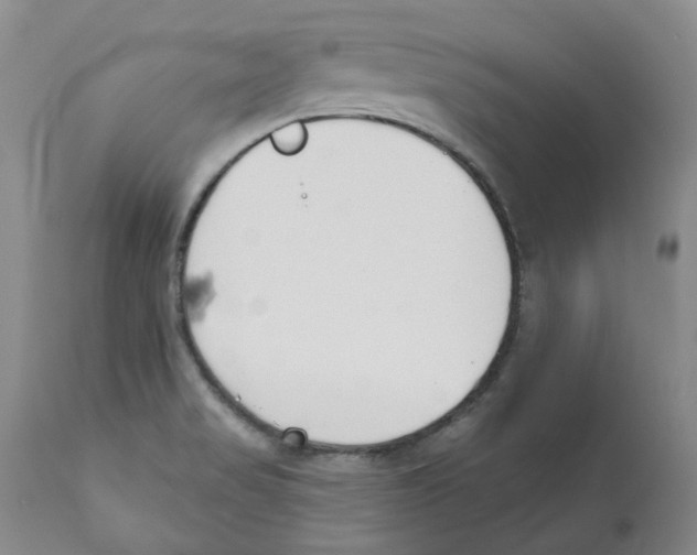 X0000110901517200907161538