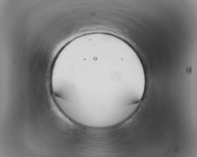 X0000110901518200907161538