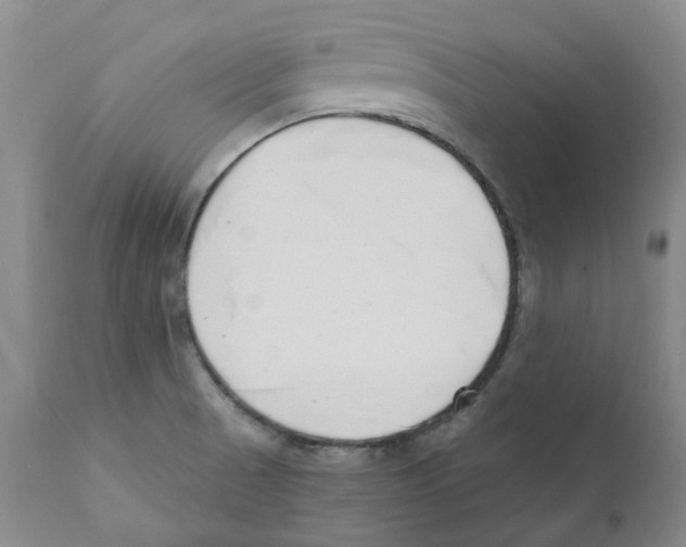 X0000110901521200907161538