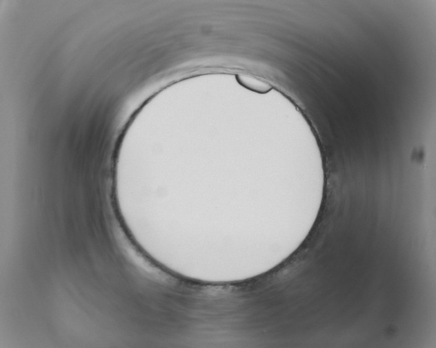 X0000110901523200907161538