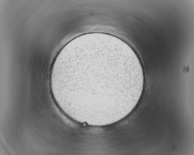 X0000110901525200907161538