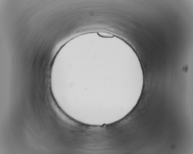 X0000110901526200907161538