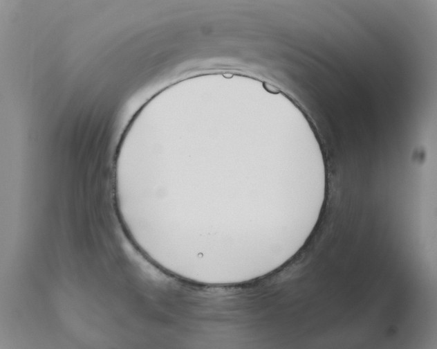 X0000110901527200907161538