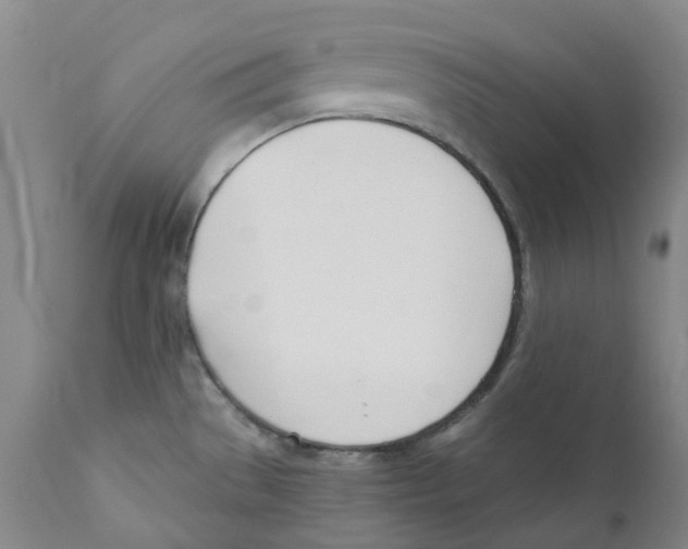 X0000110901529200907161538