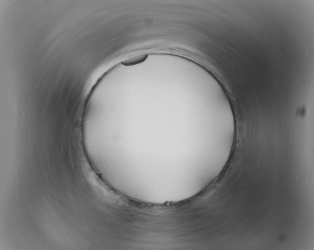 X0000110901530200907161538