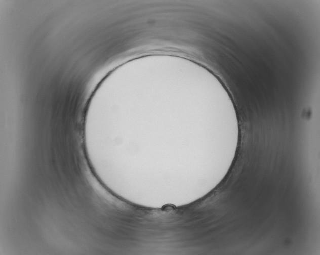 X0000110901531200907161538