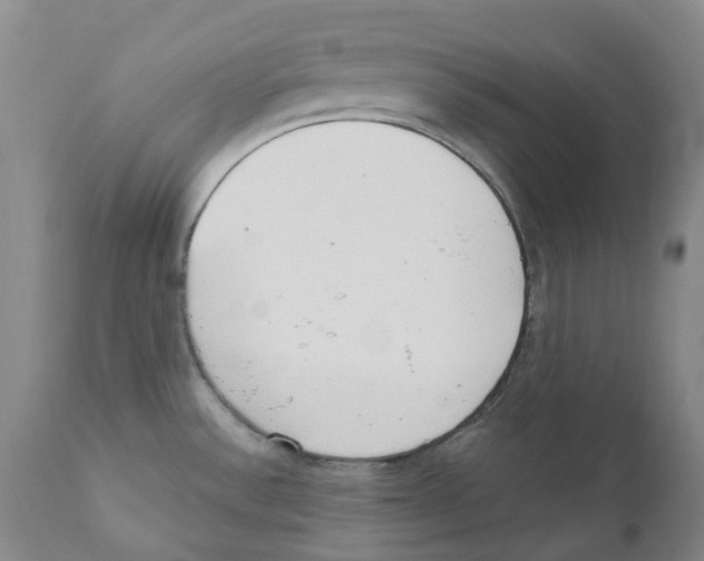 X0000110901532200907161538