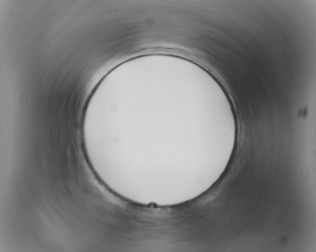 X0000110901533200907161538