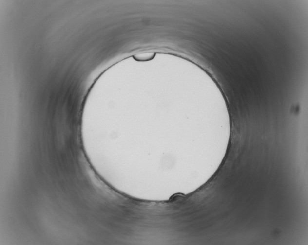 X0000110901534200907161538