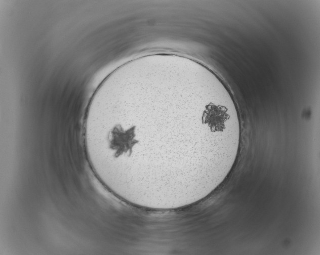 X0000110901535200907161538