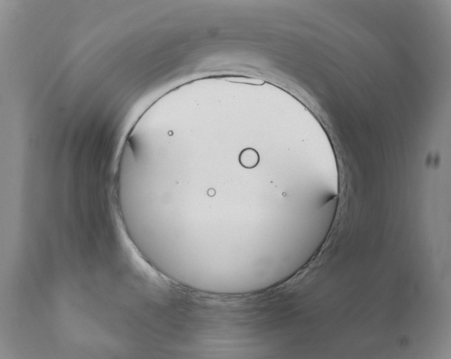 X0000110901536200907161538