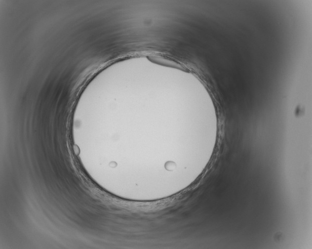 X0000110900001200907301617