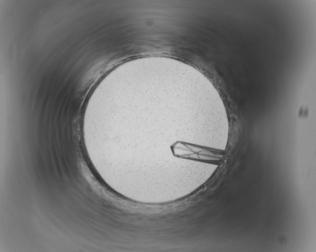 X0000110900002200907301617