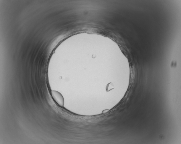 X0000110900003200907301617