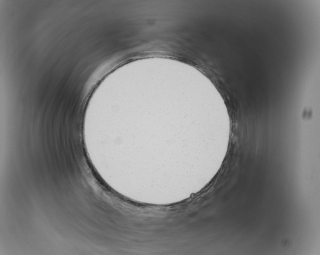 X0000110900004200907301617