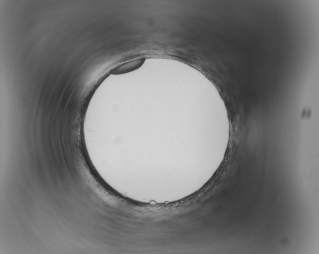 X0000110900005200907301617