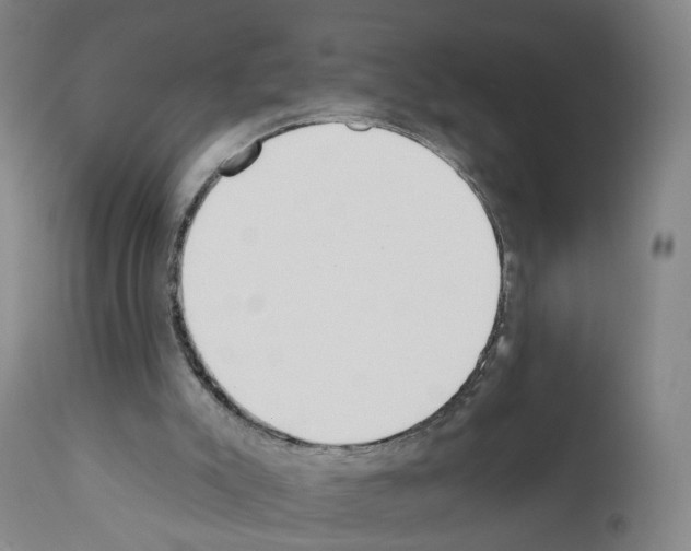 X0000110900007200907301617