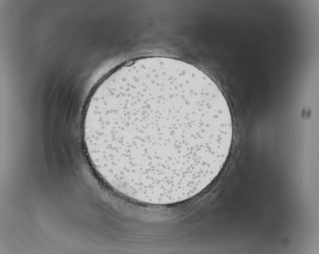 X0000110900008200907301617