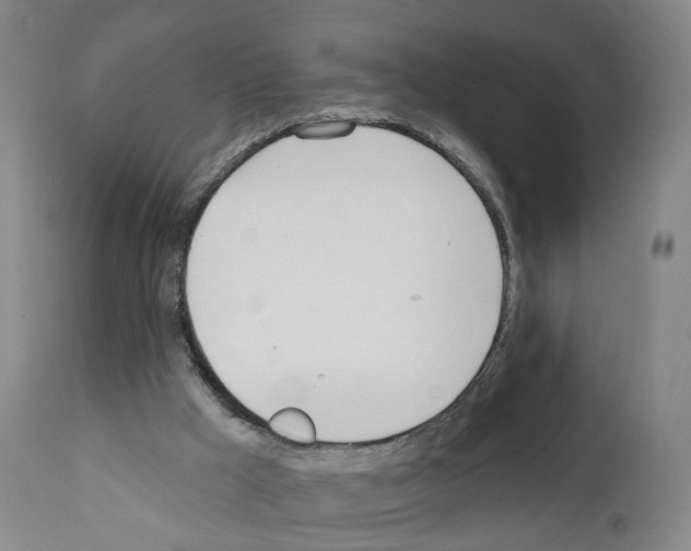 X0000110900009200907301617