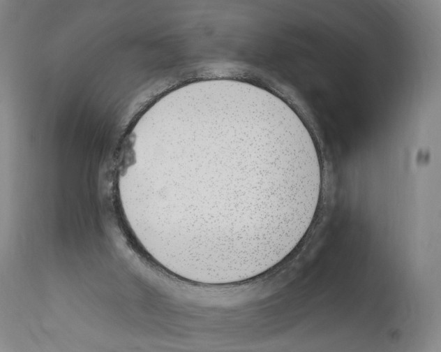 X0000110900010200907301617