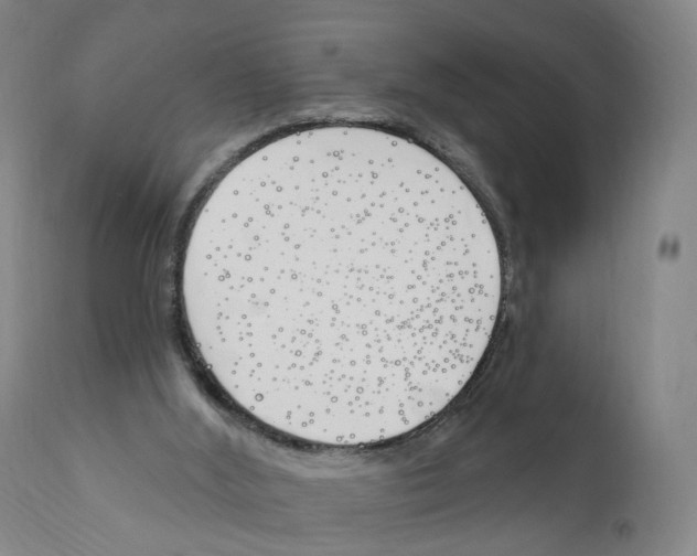 X0000110900012200907301617